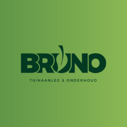 Logo ontwerp Brugge